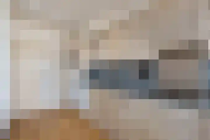 Gele Eker 1 c Wergea thumbnail 33