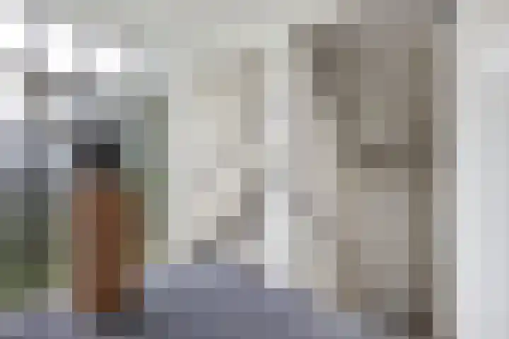 Gele Eker 1 c Wergea thumbnail 37