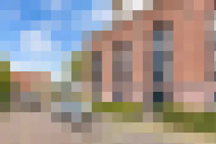 Gele Eker 1 c Wergea thumbnail 38