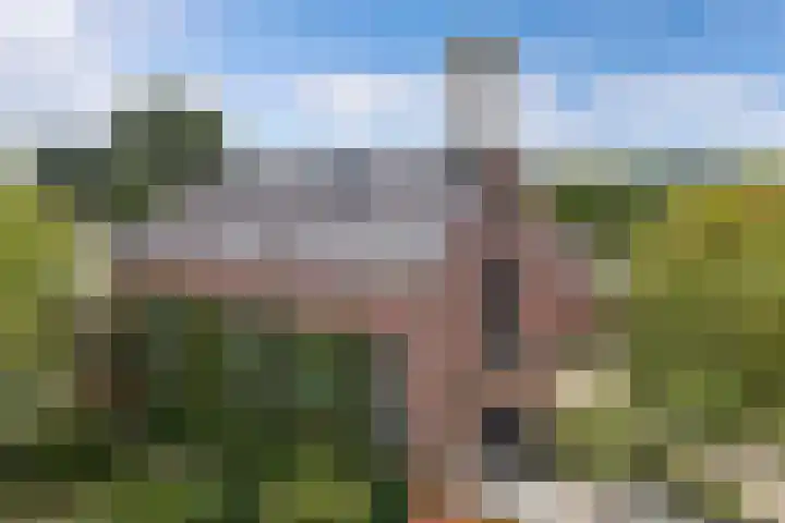 Gele Eker 1 c Wergea thumbnail 42