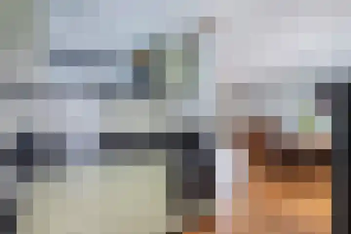 Gele Eker 1 c Wergea thumbnail 6