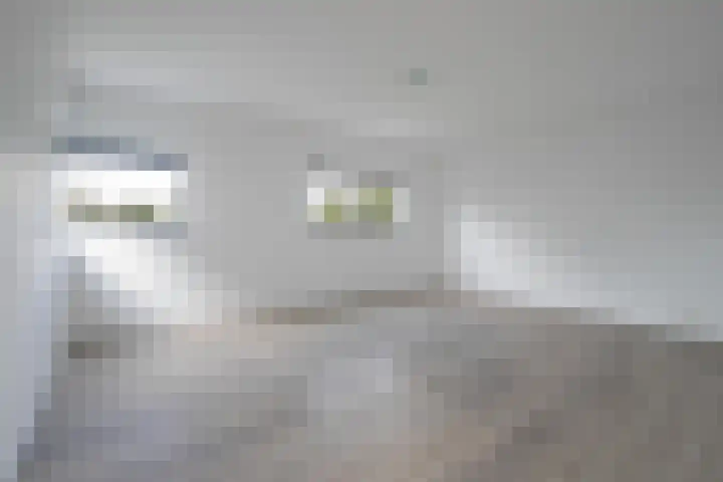 Gele Helmbloem 20 Eijsden thumbnail 17