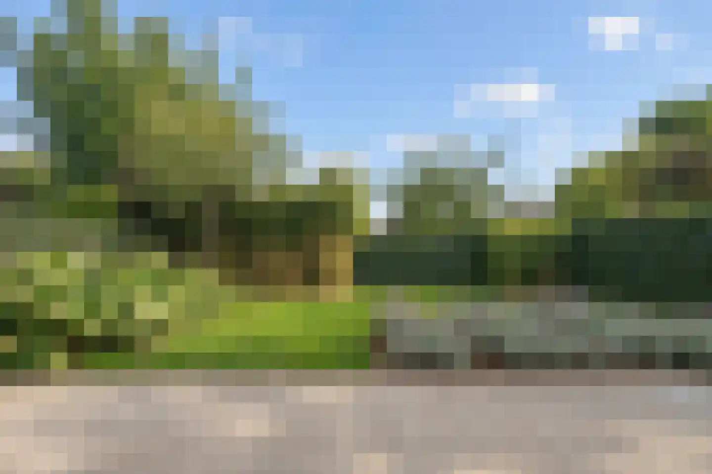 Gele Helmbloem 20 Eijsden thumbnail 32