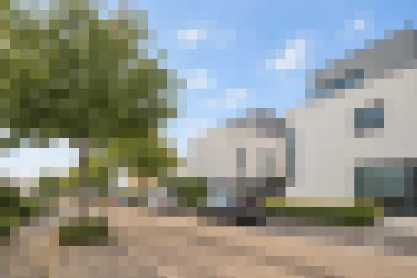 Gele Helmbloem 20 Eijsden thumbnail 34
