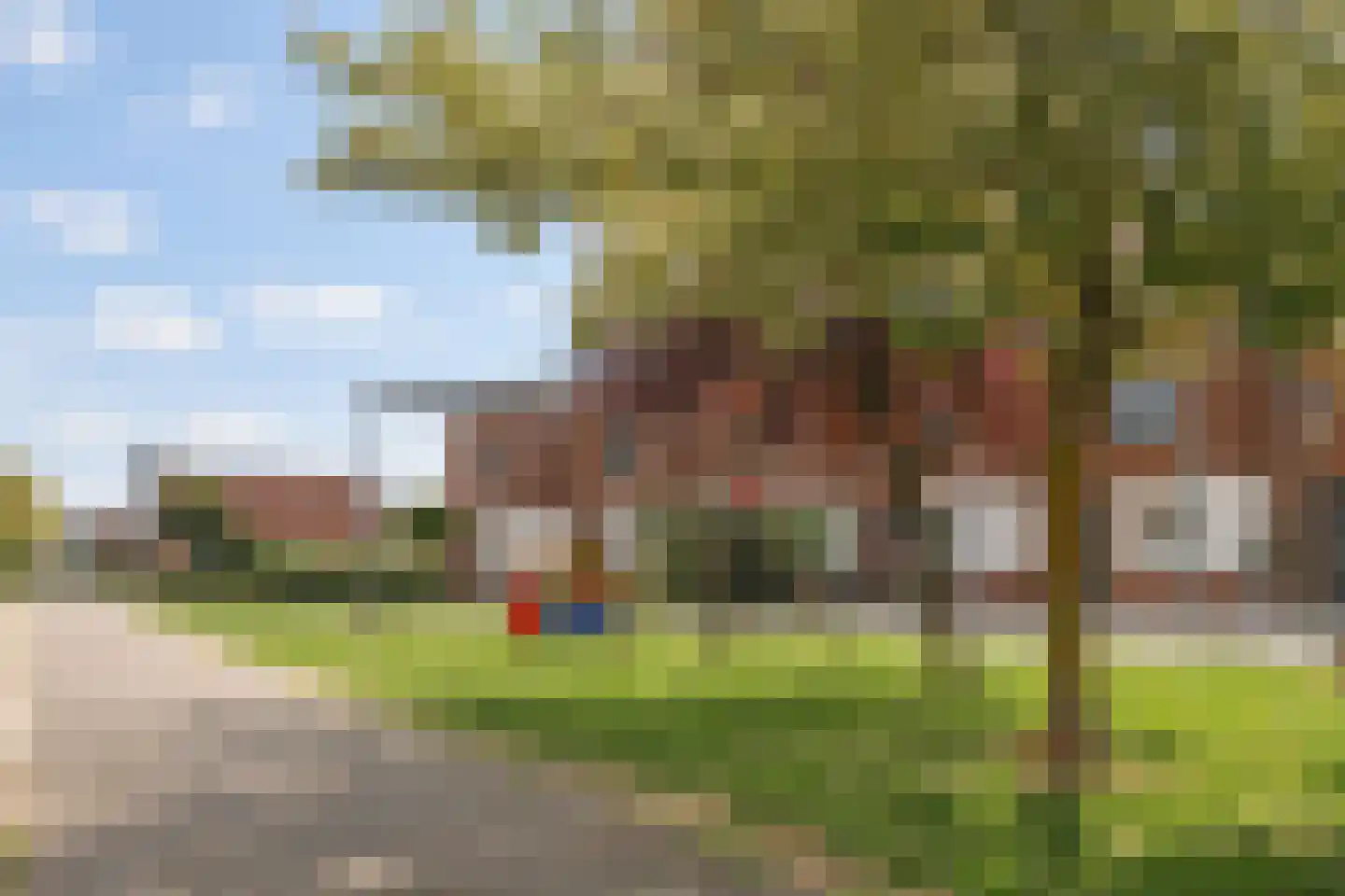 Gele Helmbloem 20 Eijsden thumbnail 37