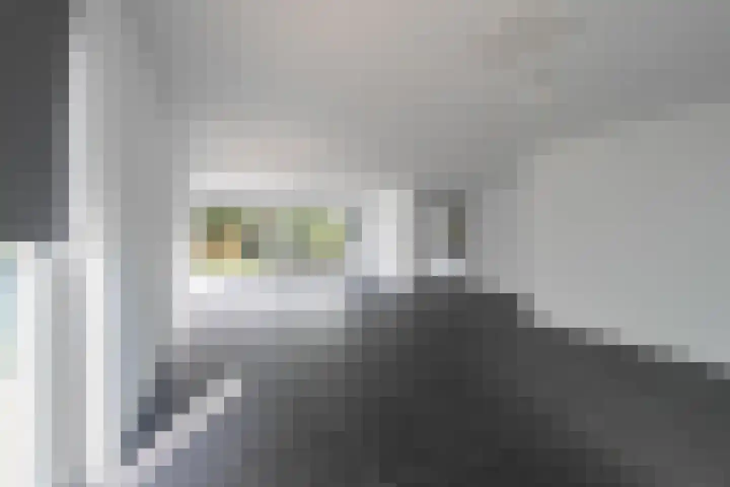 Gele Helmbloem 20 Eijsden thumbnail 6