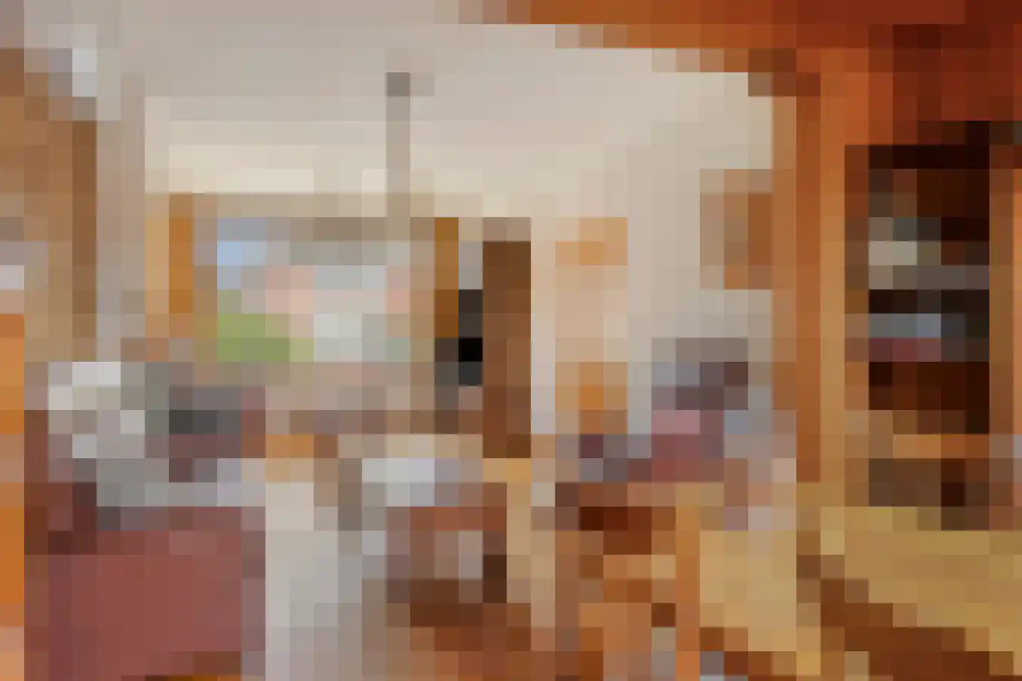 Gele Helmbloem 6 Huijbergen thumbnail 11