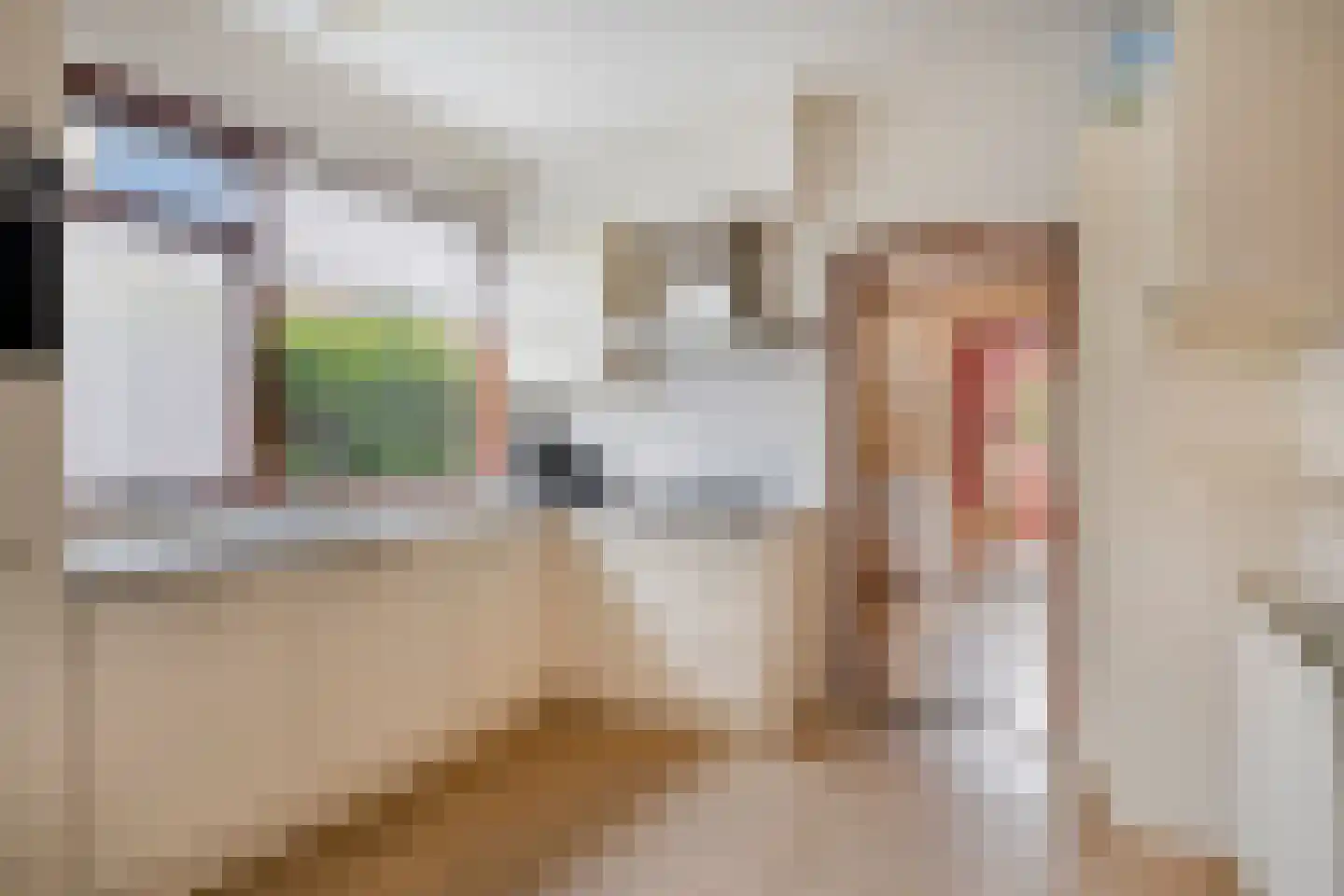 Gele Helmbloem 6 Huijbergen thumbnail 13