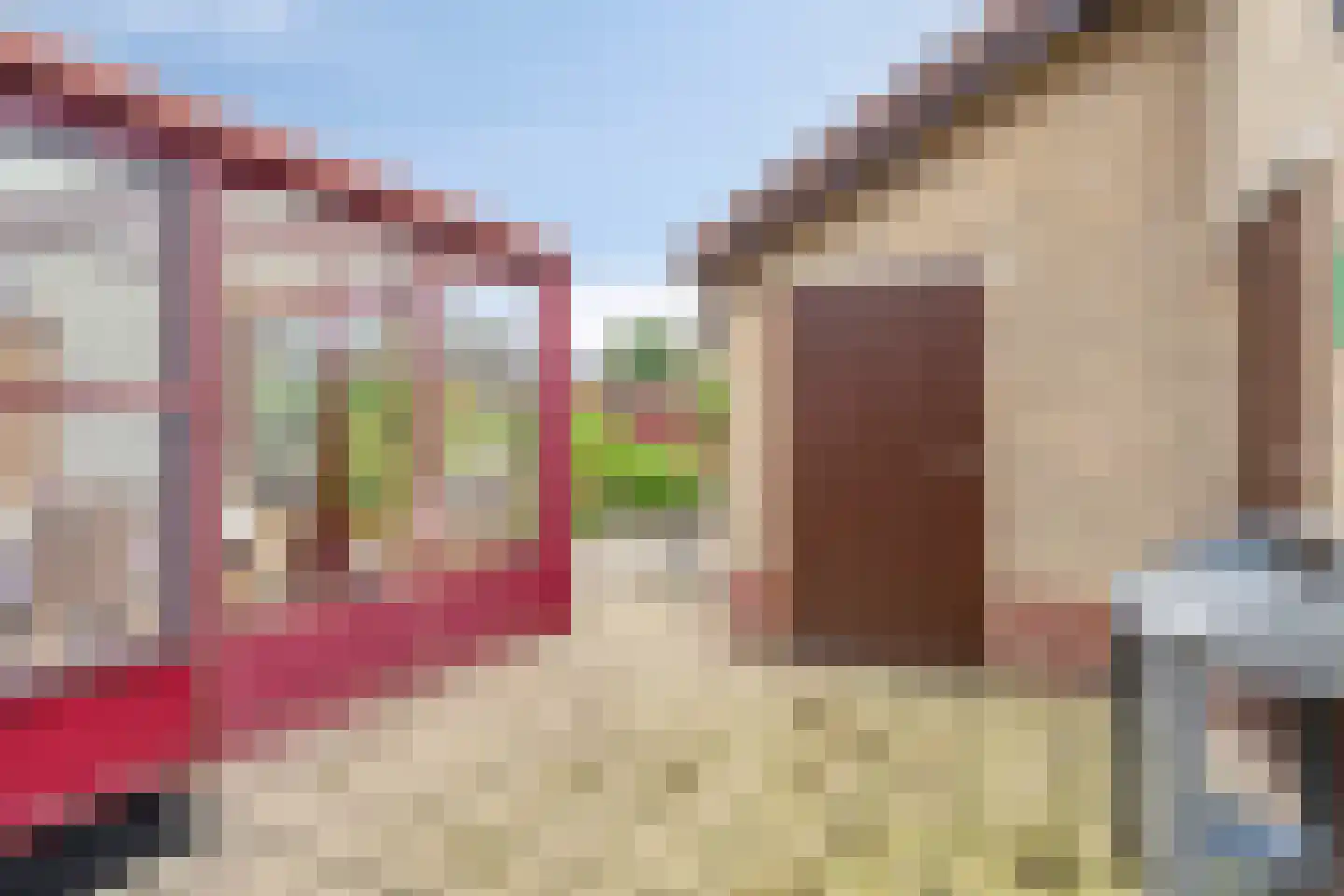 Gele Helmbloem 6 Huijbergen thumbnail 36