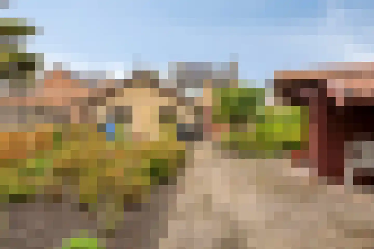 Gele Helmbloem 6 Huijbergen thumbnail 39