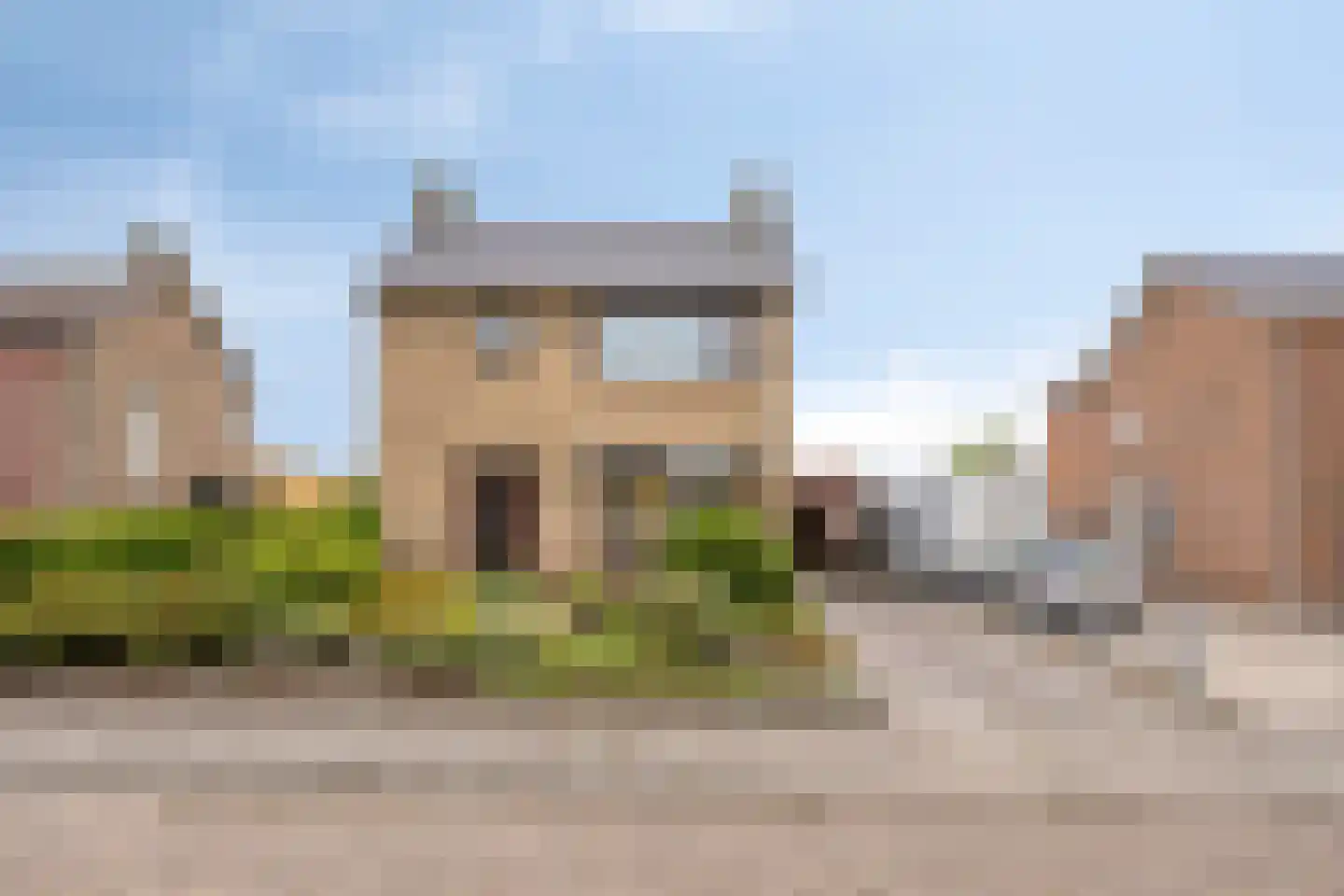 Gele Helmbloem 6 Huijbergen thumbnail 4