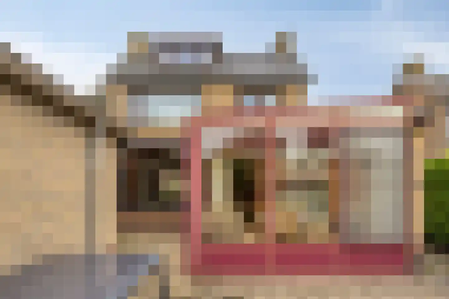 Gele Helmbloem 6 Huijbergen thumbnail 43