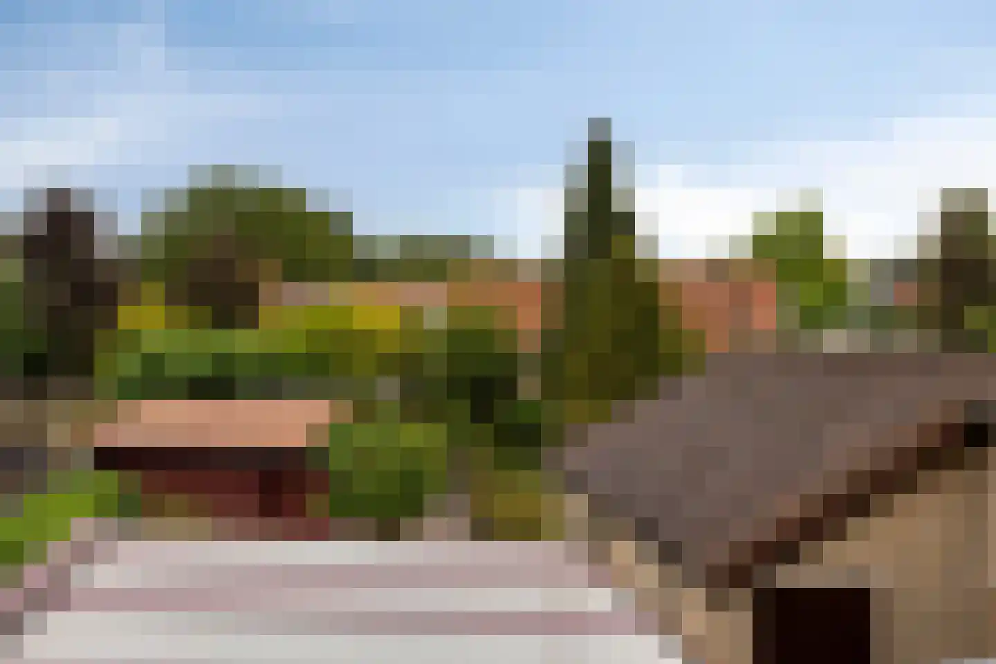 Gele Helmbloem 6 Huijbergen thumbnail 44