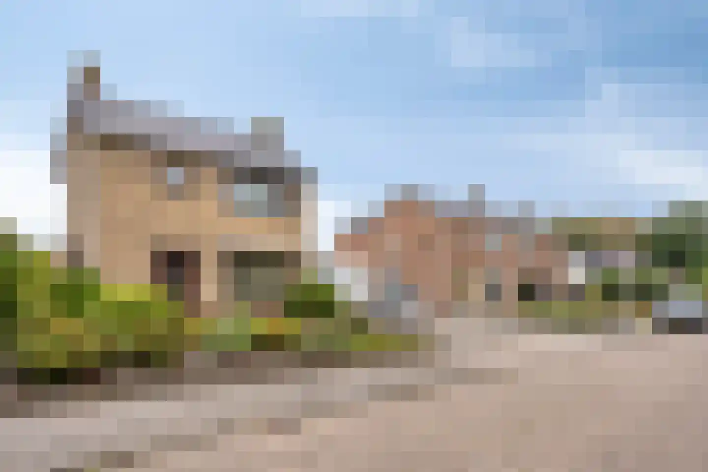 Gele Helmbloem 6 Huijbergen thumbnail 5