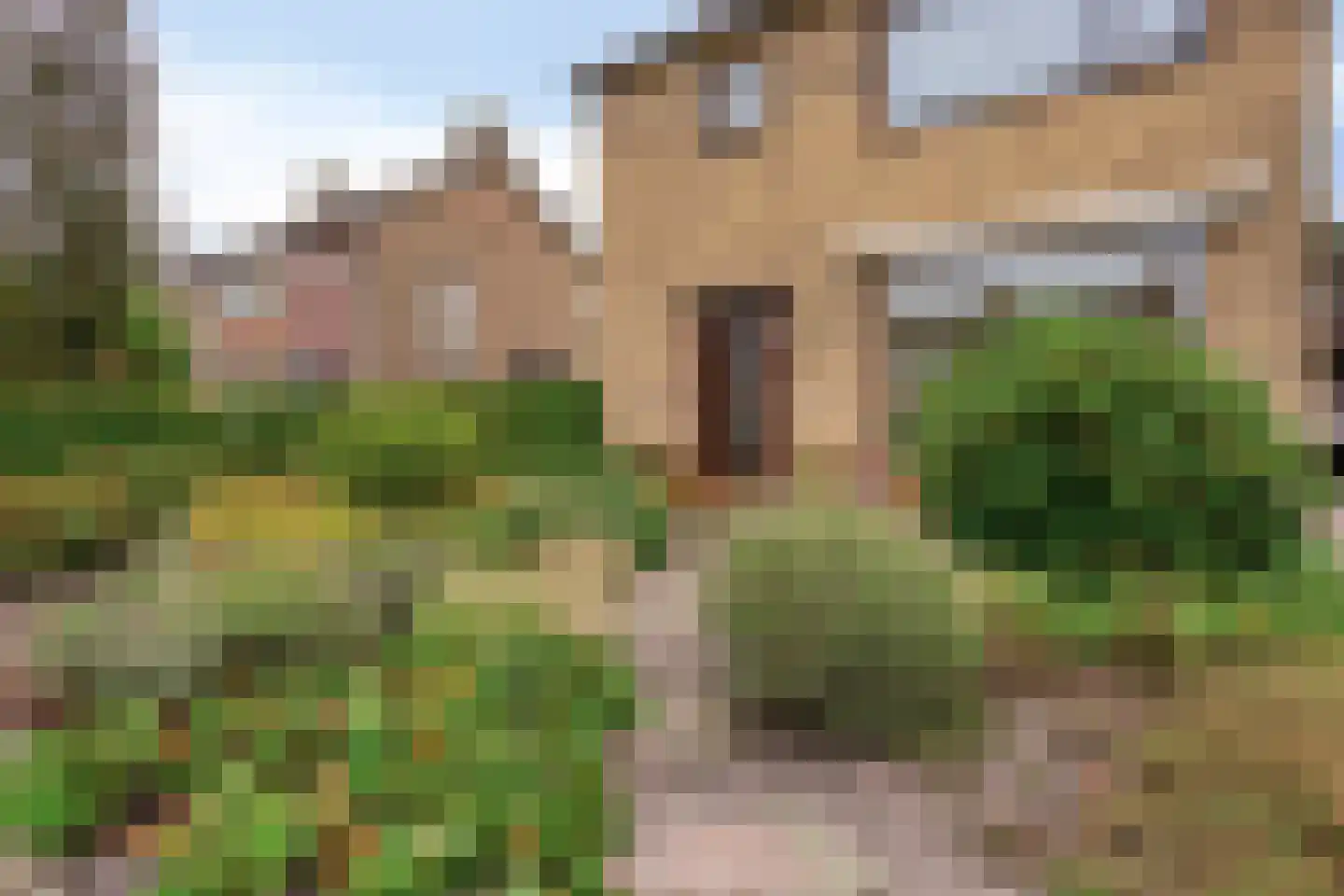 Gele Helmbloem 6 Huijbergen thumbnail 6