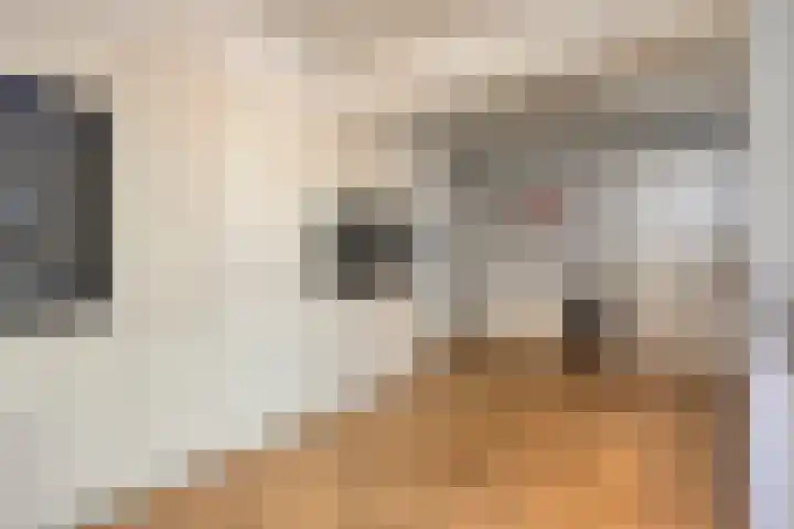 Gele Hoevelaan 7 Rosmalen thumbnail 22