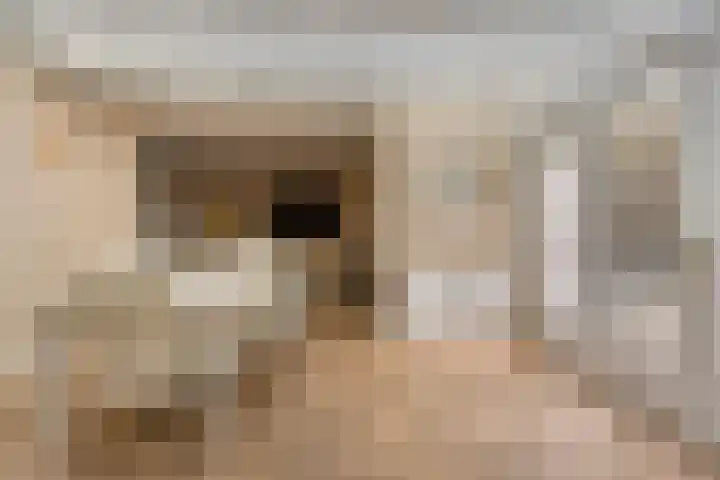 Gele Hoevelaan 7 Rosmalen thumbnail 26
