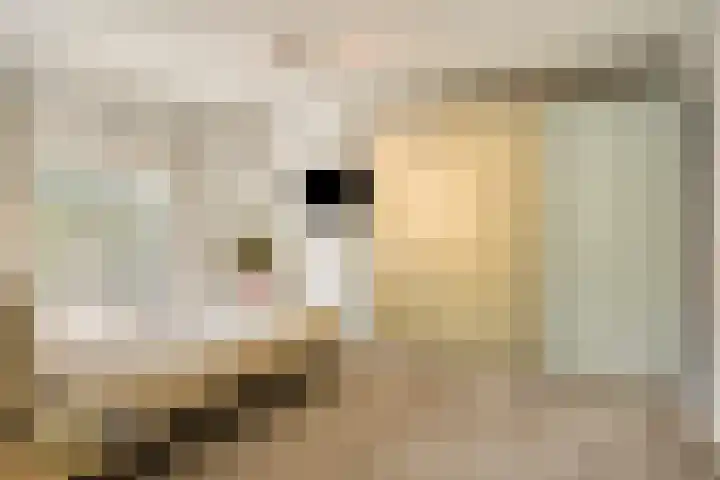 Gele Hoevelaan 7 Rosmalen thumbnail 32