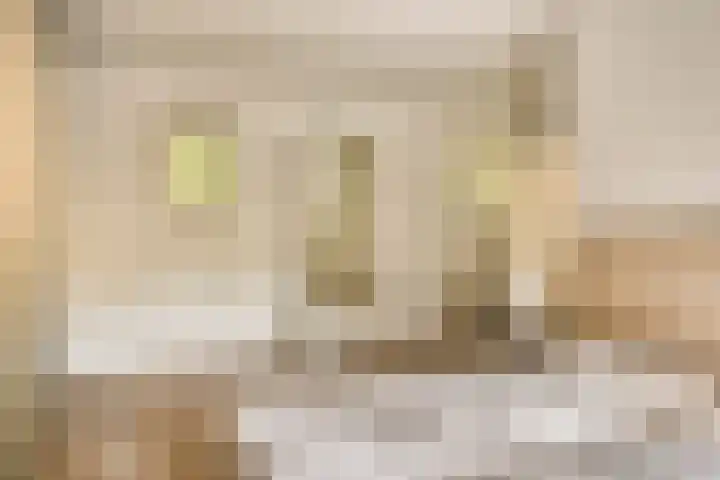 Gele Hoevelaan 7 Rosmalen thumbnail 34