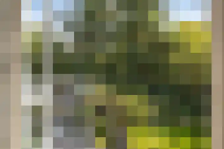 Gele Hoevelaan 7 Rosmalen thumbnail 39