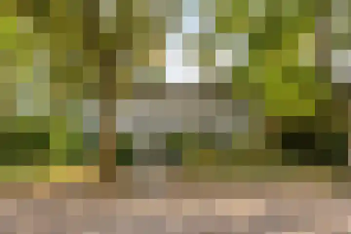 Gele Hoevelaan 7 Rosmalen thumbnail 4