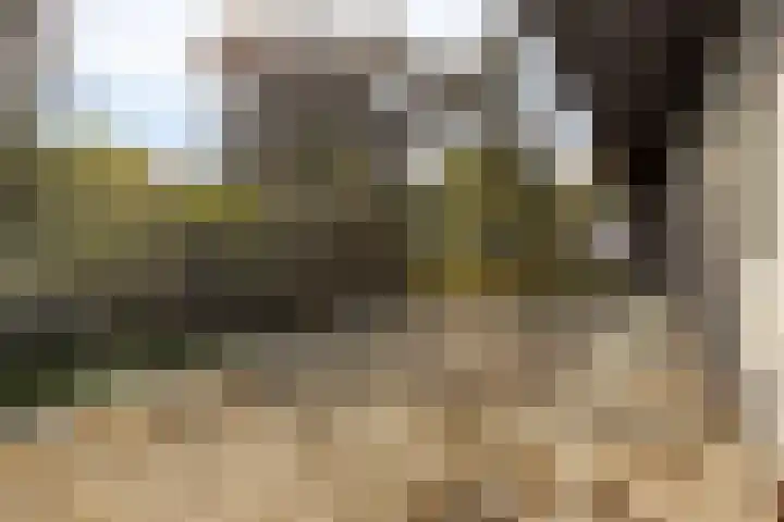 Gele Hoevelaan 7 Rosmalen thumbnail 40