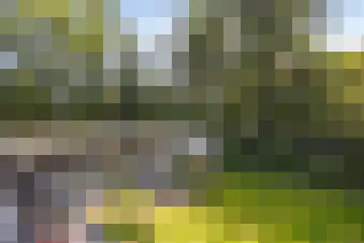 Gele Hoevelaan 7 Rosmalen thumbnail 42