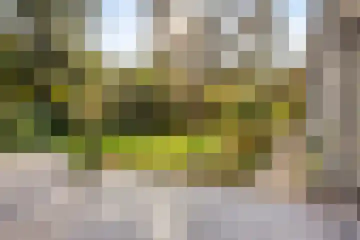 Gele Hoevelaan 7 Rosmalen thumbnail 45