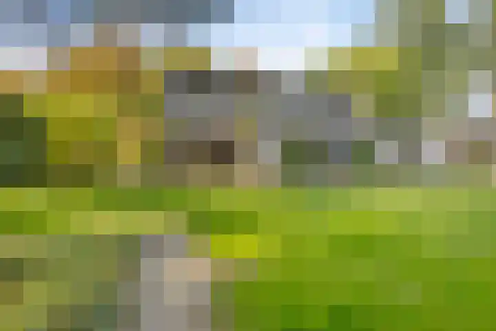 Gele Hoevelaan 7 Rosmalen thumbnail 47