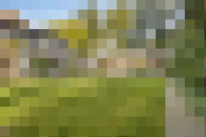 Gele Hoevelaan 7 Rosmalen thumbnail 48