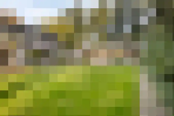 Gele Hoevelaan 7 Rosmalen thumbnail 49