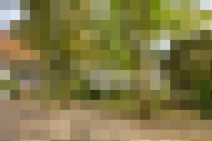 Gele Hoevelaan 7 Rosmalen thumbnail 5