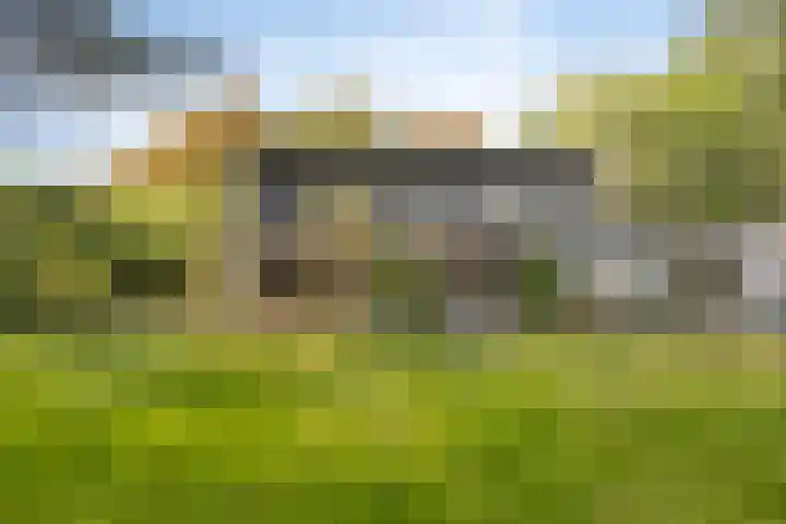 Gele Hoevelaan 7 Rosmalen thumbnail 50