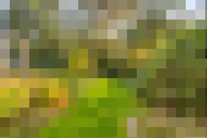 Gele Hoevelaan 7 Rosmalen thumbnail 51