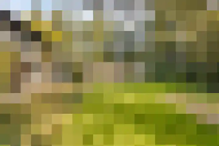 Gele Hoevelaan 7 Rosmalen thumbnail 52