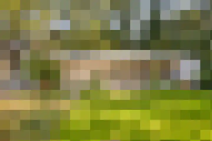 Gele Hoevelaan 7 Rosmalen thumbnail 53