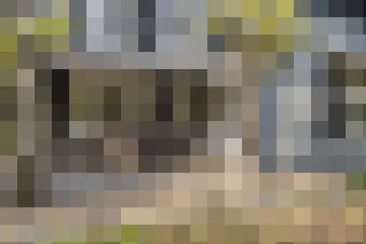 Gele Hoevelaan 7 Rosmalen thumbnail 54