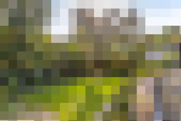 Gele Hoevelaan 7 Rosmalen thumbnail 55