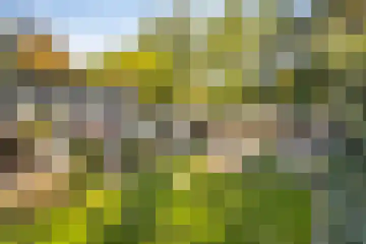 Gele Hoevelaan 7 Rosmalen thumbnail 56