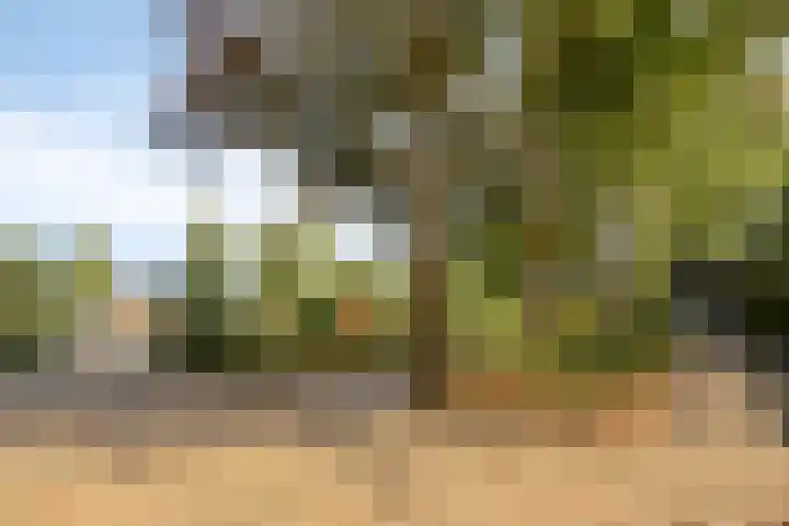 Gele Hoevelaan 7 Rosmalen thumbnail 57