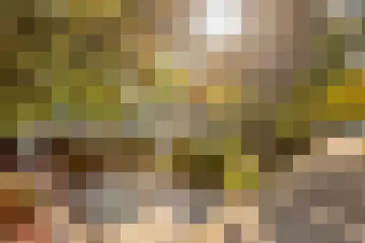 Gele Hoevelaan 7 Rosmalen thumbnail 6