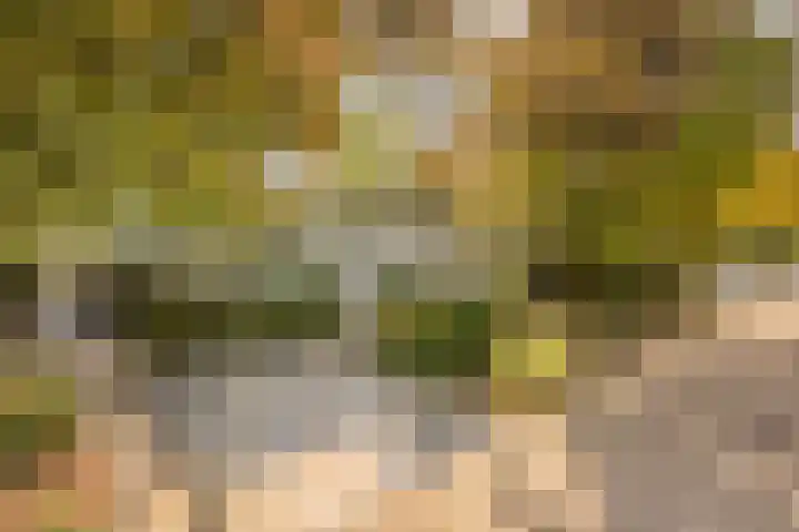 Gele Hoevelaan 7 Rosmalen thumbnail 7