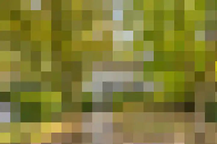 Gele Hoevelaan 7 Rosmalen thumbnail 8