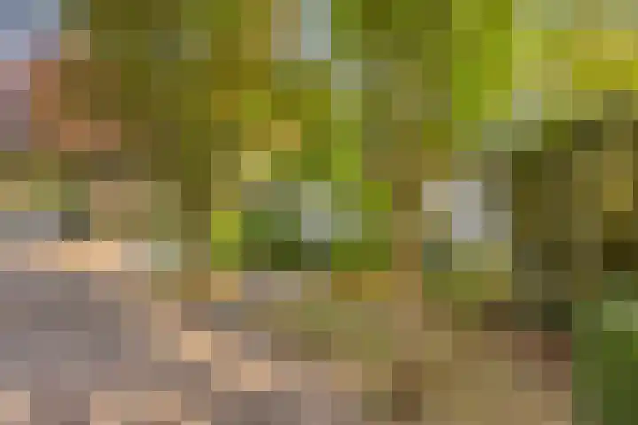 Gele Hoevelaan 7 Rosmalen thumbnail 9