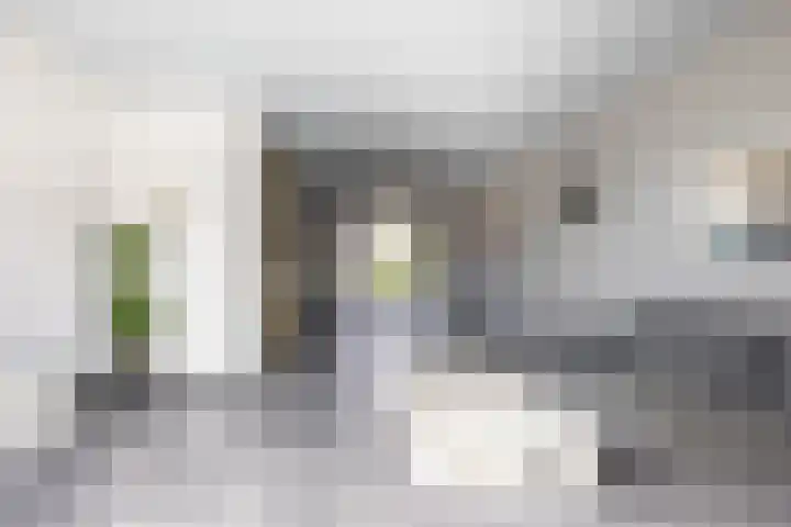 Gele krokus 8 Papendrecht thumbnail 11