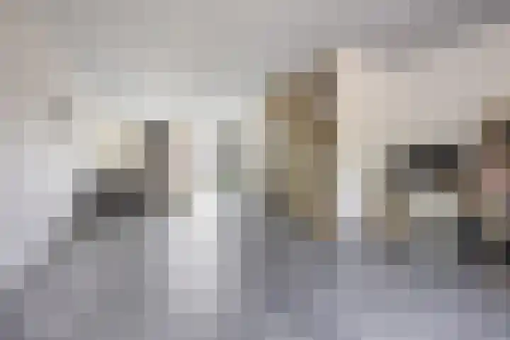 Gele krokus 8 Papendrecht thumbnail 12
