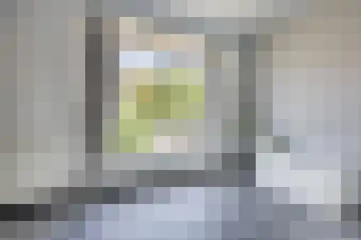 Gele krokus 8 Papendrecht thumbnail 14