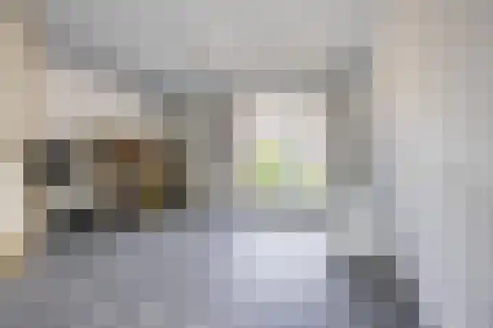 Gele krokus 8 Papendrecht thumbnail 15