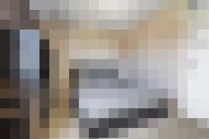 Gele krokus 8 Papendrecht thumbnail 17