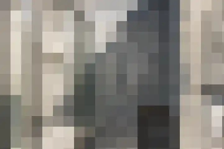 Gele krokus 8 Papendrecht thumbnail 25